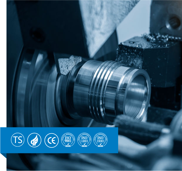 溫州市正一機械密封件有限公司